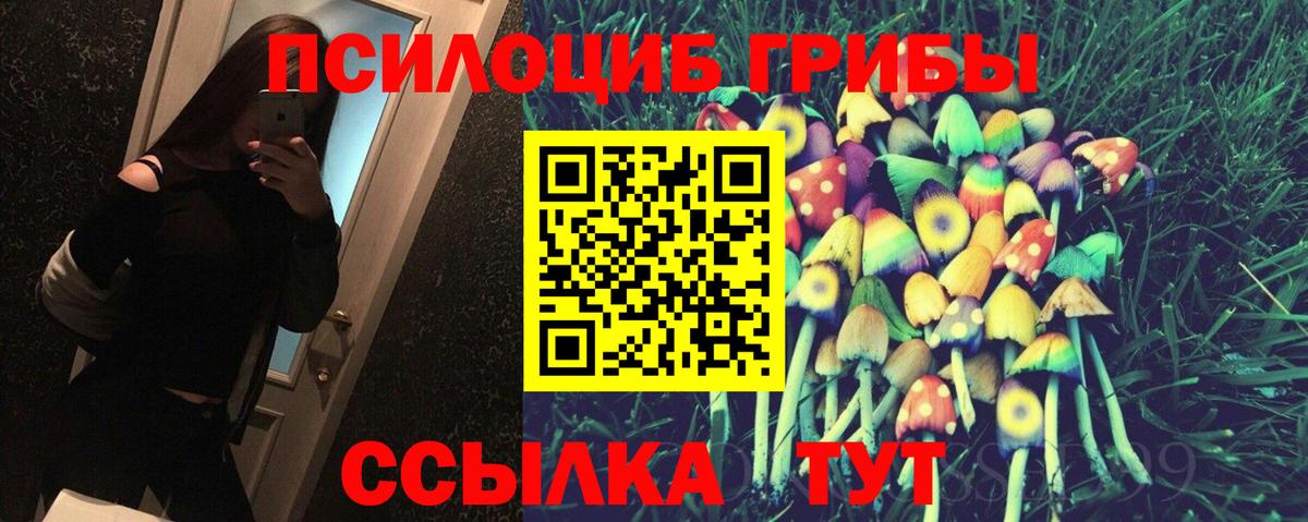 Галлюциногенные грибы Psilocybe Бирск