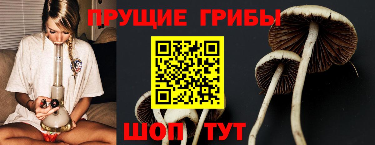 Бирск  Галлюциногенные грибы Magic Shrooms  где купить наркоту  Вход с VPN 